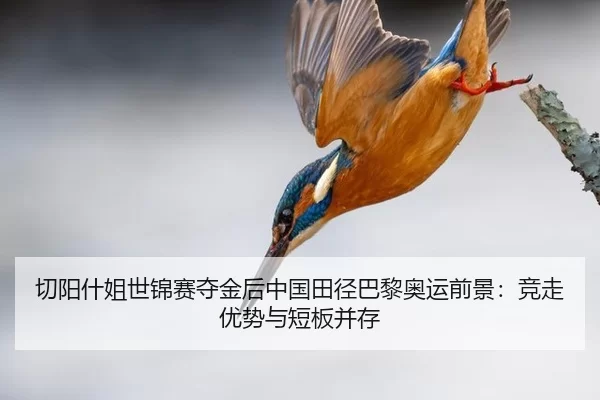 切阳什姐世锦赛夺金后中国田径巴黎奥运前景：竞走优势与短板并存